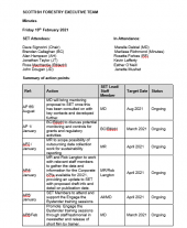 SET minutes - 19 February 2021